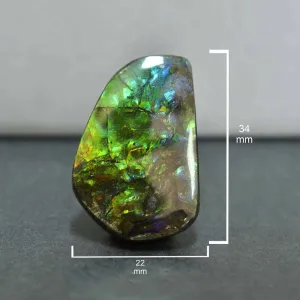 Ammolite Free-Form Cabochon 34mm - 1 piece