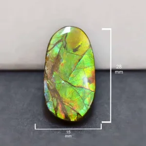 Ammolite Free-Form Oval Cabochon 28mm - 1 piece