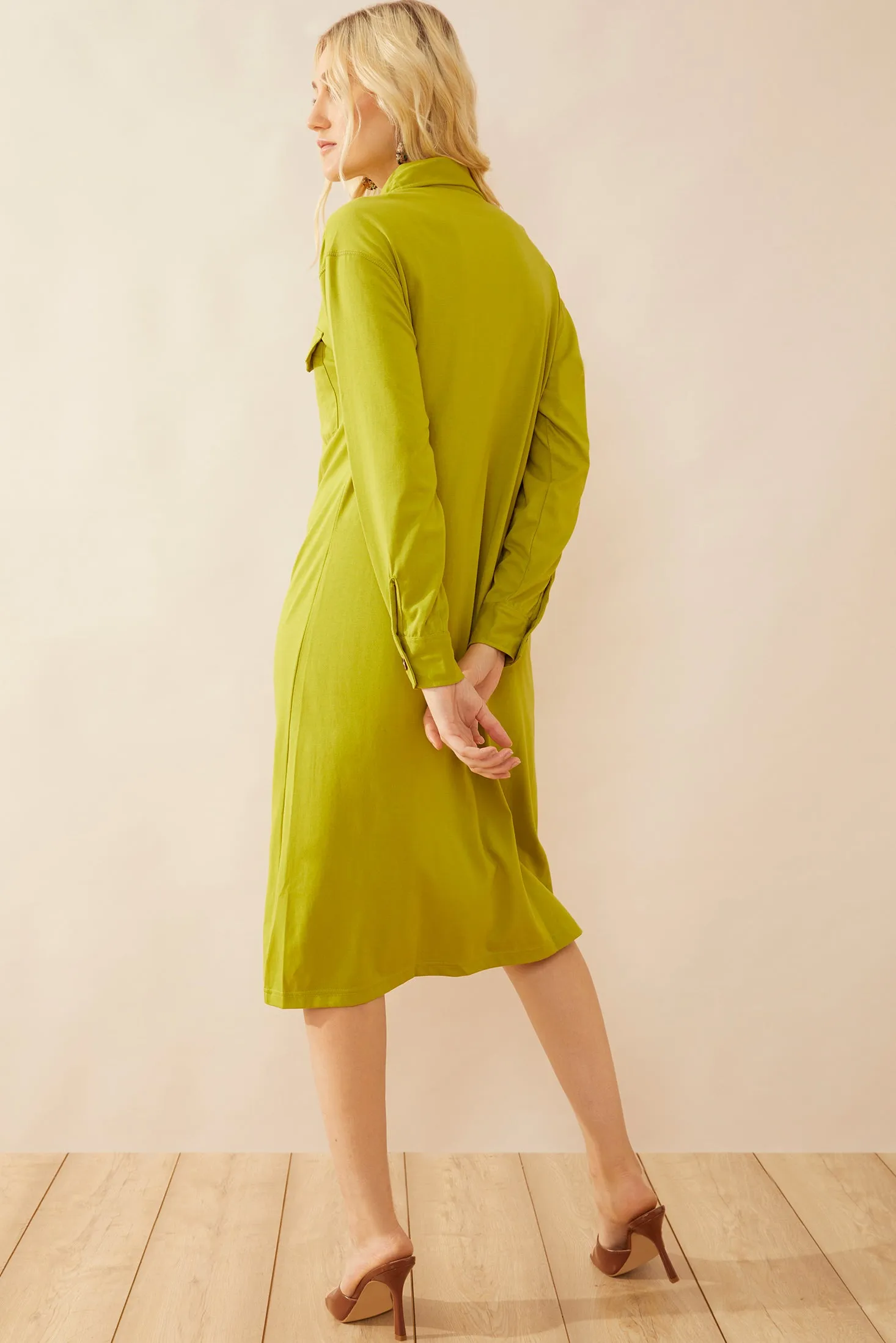 Georgeanna Shirt Dress