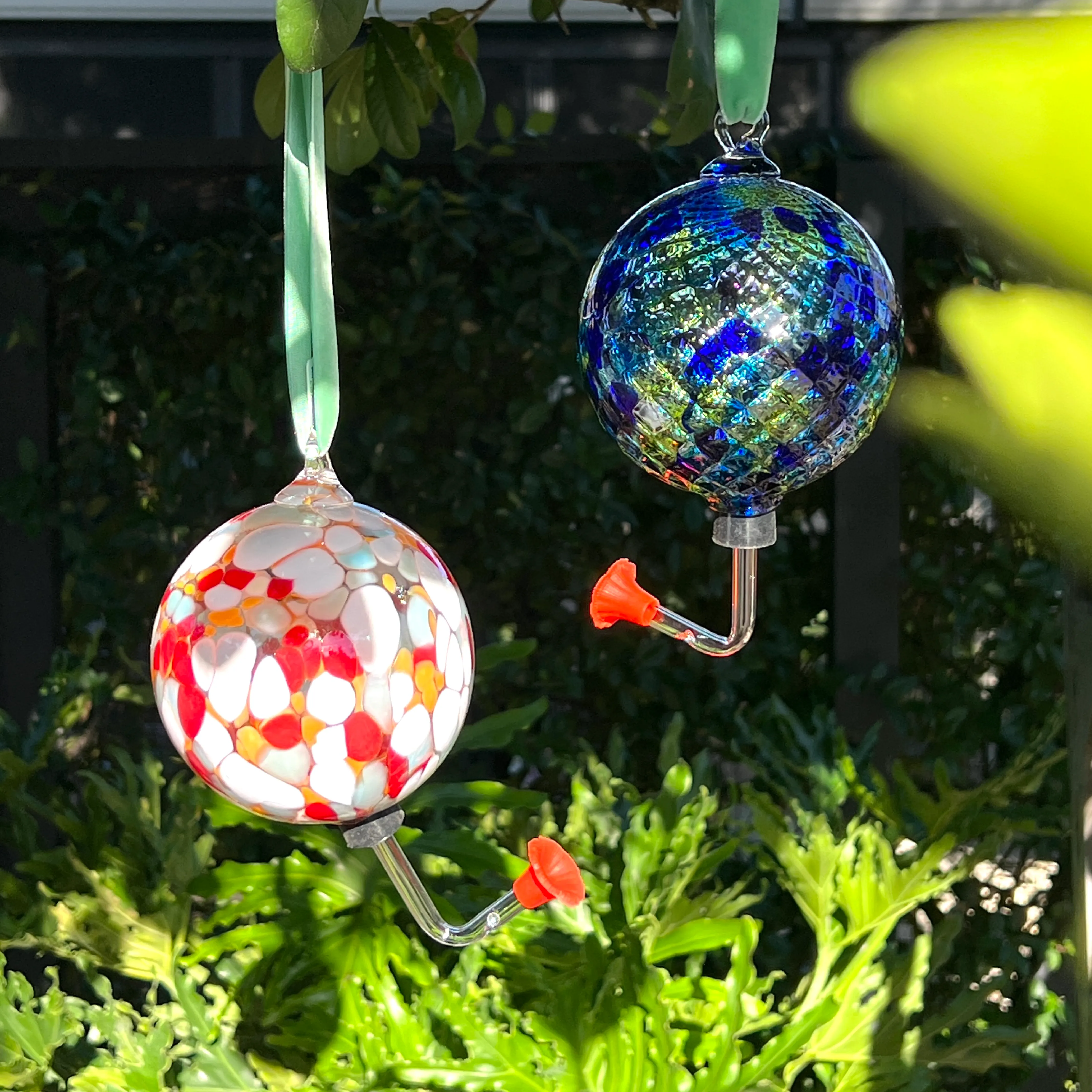 Glass Hummingbird Feeders