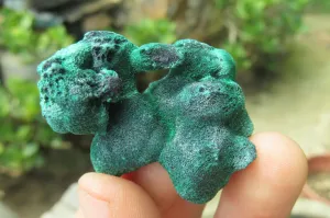 Natural Silky Malachite Specimens x 20 From Kasompe, Congo