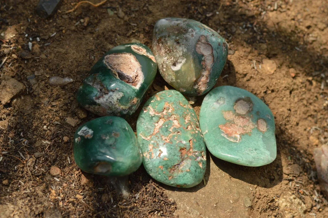 Polished Emerald Mtorolite Galet-Palm Stones x 20 From Mutorashanga, Zimbabwe