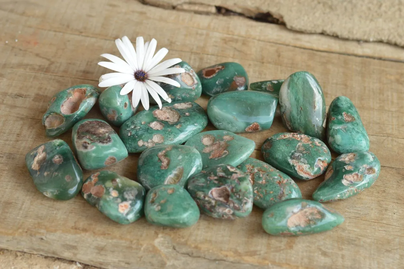 Polished Emerald Mtorolite Galet-Palm Stones x 20 From Mutorashanga, Zimbabwe