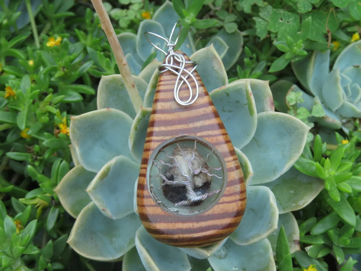 Polished Zebra Wood Pendant With Purpurite Centre & Tree Of Life - sold per piece From South Africa