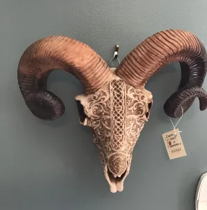 Skull - Carved Ram