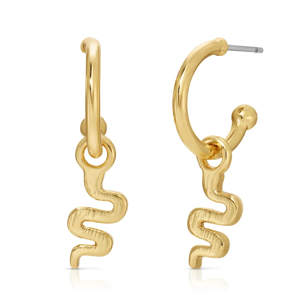 Splendid Drop Hoop Earrings - Single Set