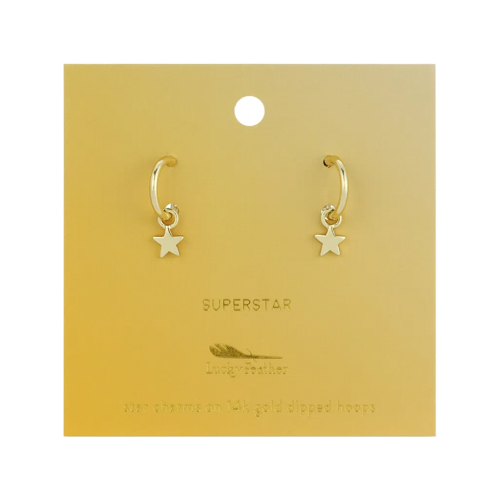 Splendid Drop Hoop Earrings - Single Set