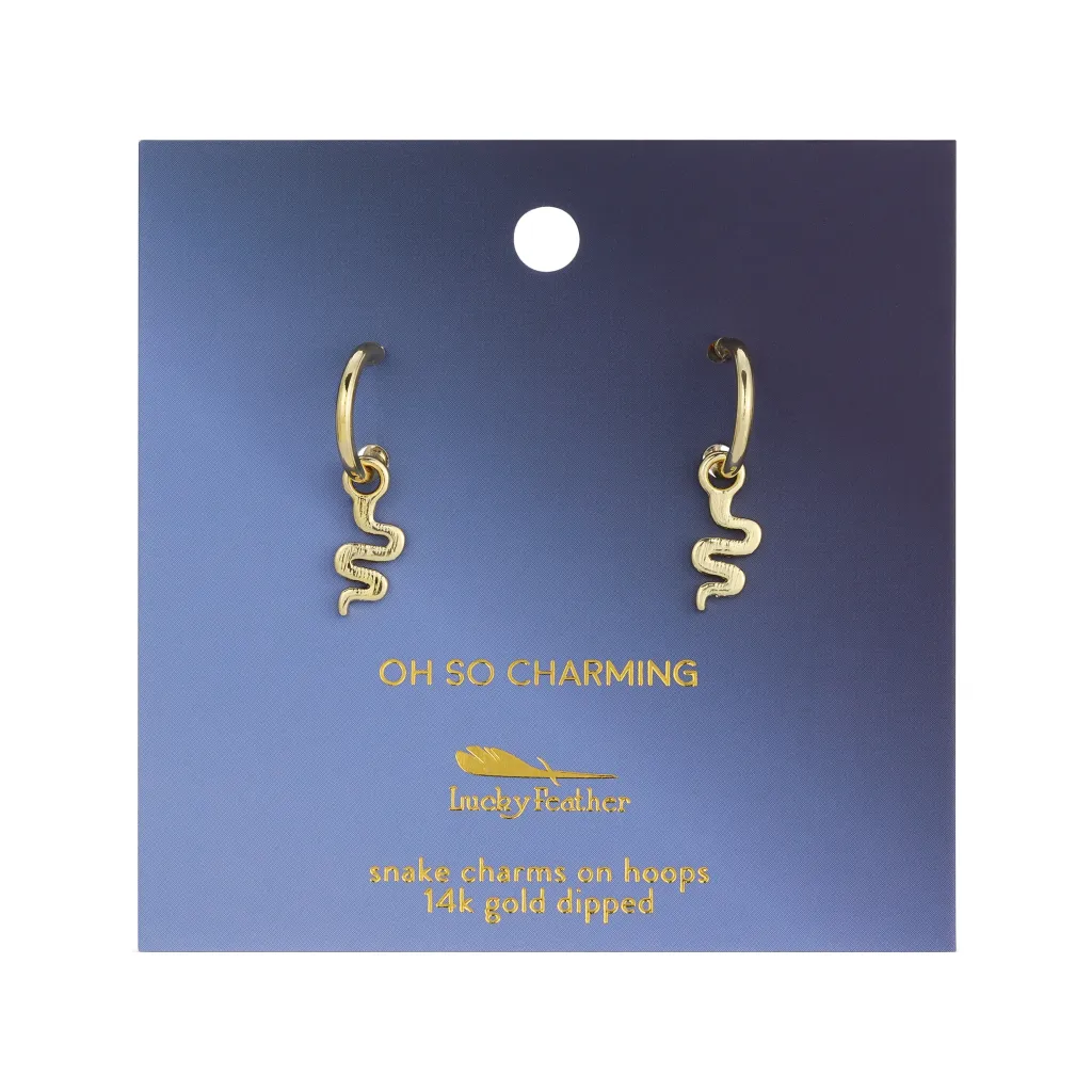 Splendid Drop Hoop Earrings - Single Set