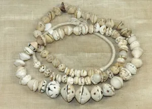 Strand of Carved Shell "Bead Caps" from Mali